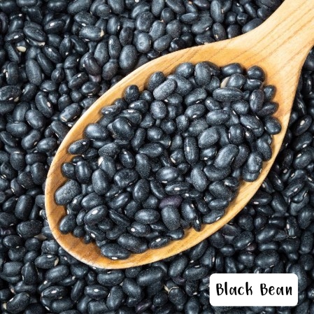 Seed